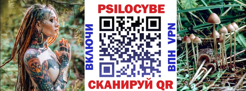 kraken   даркнет сайт  Ртищево  Галлюциногенные грибы Cubensis 